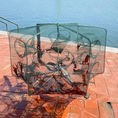 Folded Fishing Bait Trap